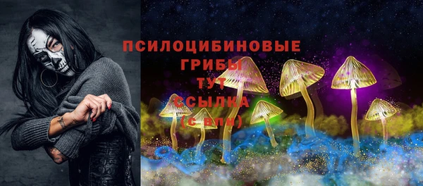 спиды Армянск