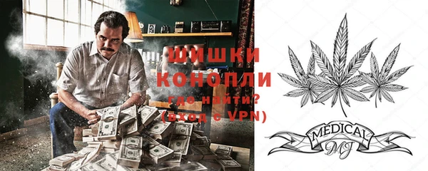 стафф Аркадак