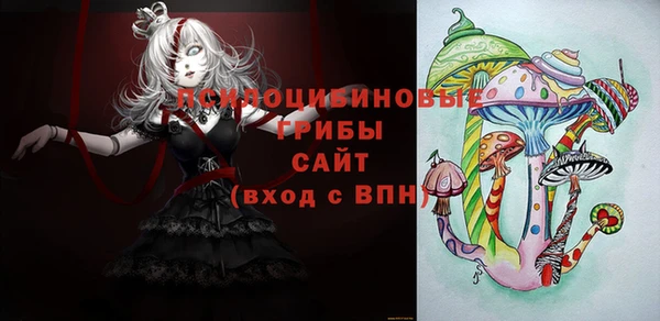 трава Арсеньев