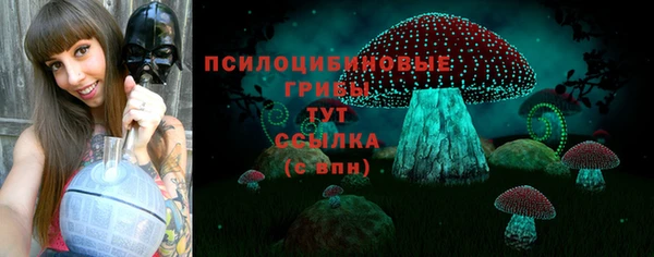 стафф Аркадак