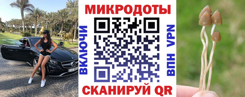 где продают   Ханты-Мансийск  darknet наркотические препараты  Псилоцибиновые грибы MAGIC MUSHROOMS 